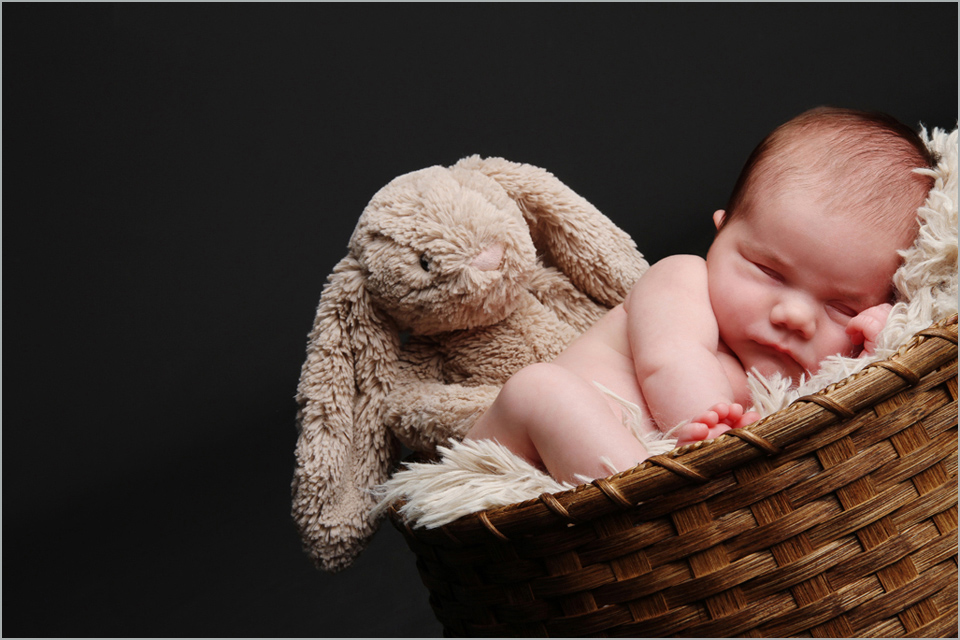 Newborn Portrait